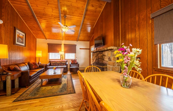 A cozy living and dining area with wood-paneled walls and ceiling, leather sofas, a stone fireplace, a wooden dining table with chairs, and a vase of colorful flowers. Warm lighting creates a welcoming atmosphere.