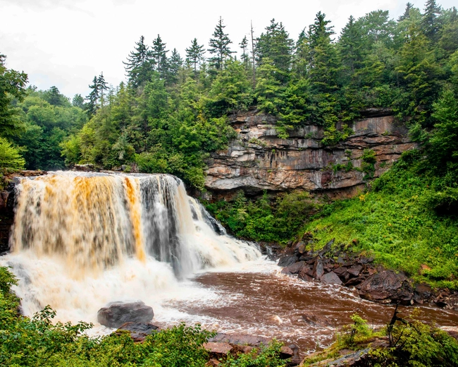 A wide waterfall cascades over a rocky cliff surrounded by dense green trees and shrubs; water flows into a brownish river below under a cloudy sky.