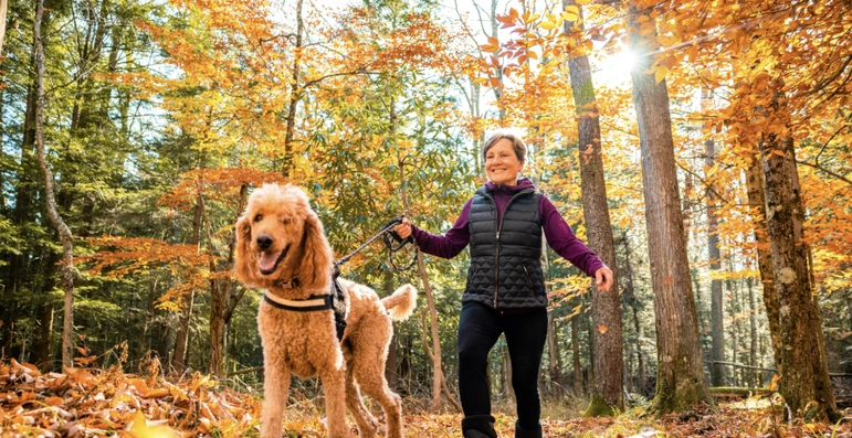 A smiling woman walks a large curly-haired dog on a leash through a forest with colorful autumn leaves covering the ground and sunlight shining through the trees.