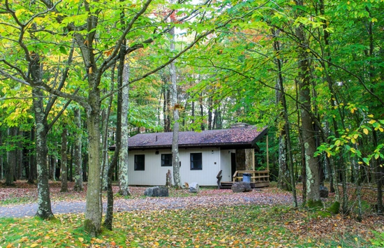 A small white cabin with a brown roof sits among tall trees with green and yellow leaves; fallen leaves cover the ground and a wooden bench is near the entrance.