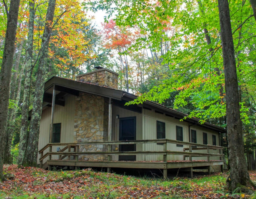 A beige cabin with a stone chimney and a wooden ramp sits among tall trees with green and autumn-colored leaves. Fallen leaves cover the ground around the cabin.