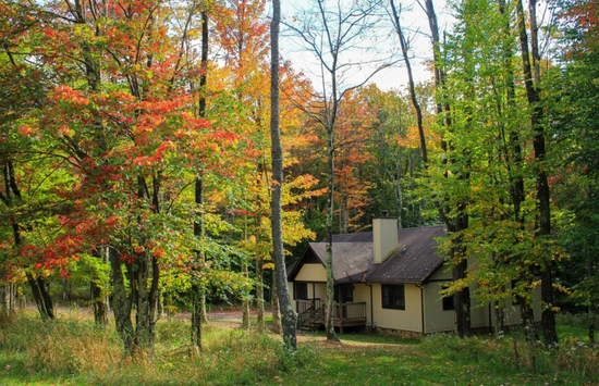 A small beige house with a dark roof sits among tall trees with colorful autumn foliage, including green, yellow, and red leaves, on a grassy clearing.