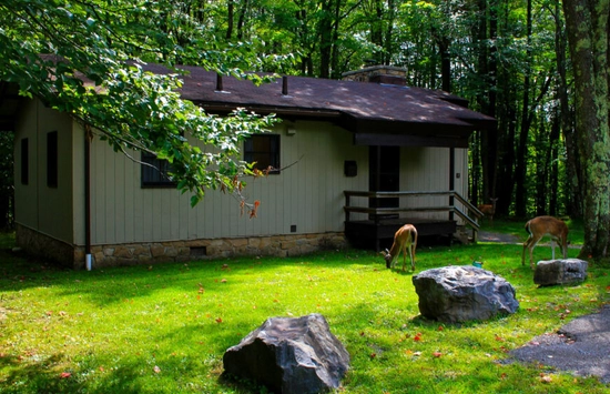 A small cabin with a porch sits in a green, wooded area. Two deer graze on the grassy lawn near large rocks. Sunlight filters through the trees surrounding the scene.